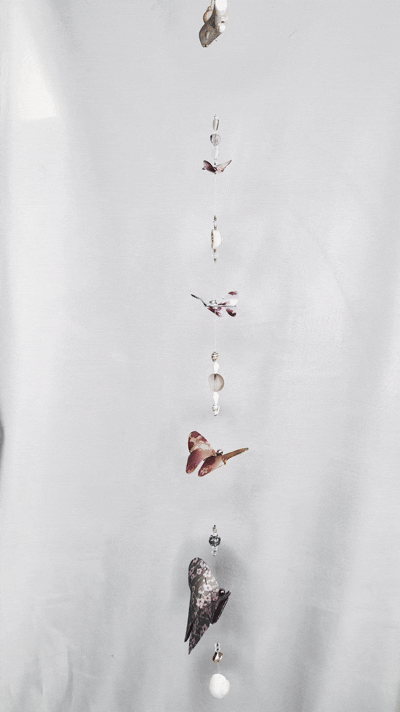 Lynn - Origami Butterfly Mobile